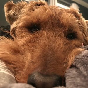 Meet your Posher, Aaron